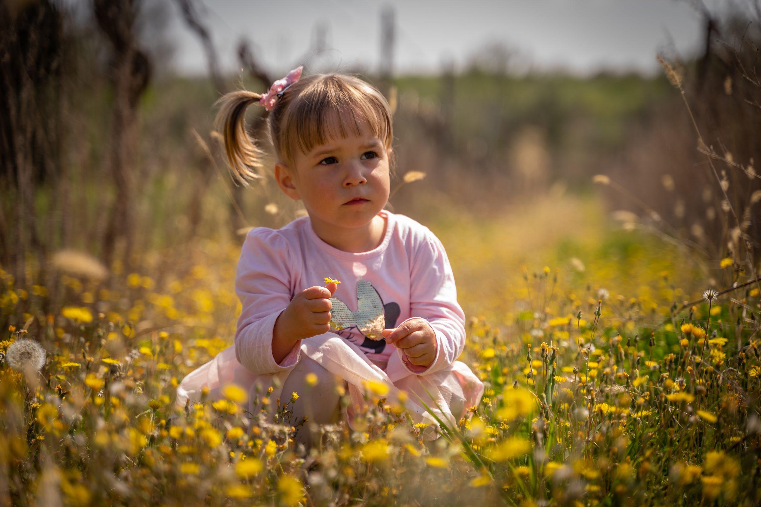 Family moments — Pixels Photo Studio, Pula